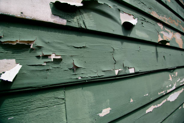 Sea Breeze, NC Junk Removal Company